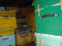Підготовка бджіл до зимівлі відео та фото огляд зимівлі