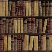 Посібник для поетів-початківців книги