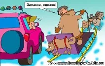 Чарівний, милий йоркширський тер’єр - Гумор, анекдоти, історії анекдоти