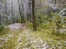 СВЯТА, ОБРЯДИ ТА ПРИМІТИ ЖОВТНЯ, Єлецька земля свята