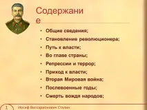 висарионович