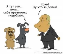 Чарівний, милий йоркширський тер’єр - Гумор, анекдоти, історії анекдоти