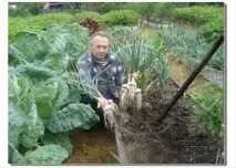 Природна система землеробства від Ігоря Лядова – відновлюється родючість ґрунту, а врожайність відновлюється
