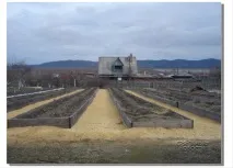 Природна система землеробства від Ігоря Лядова – відновлюється родючість ґрунту, а врожайність природна