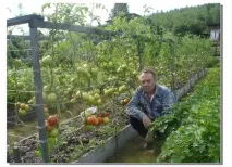 Природна система землеробства від Ігоря Лядова – відновлюється родючість ґрунту, а врожайність система
