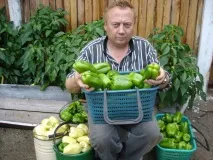 Природна система землеробства від Ігоря Лядова – відновлюється родючість ґрунту, а врожайність лядова
