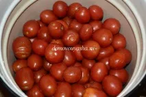 квашених