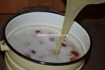 квашених
