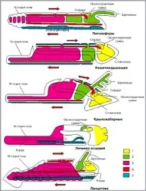 Походження свійських тварин свійських