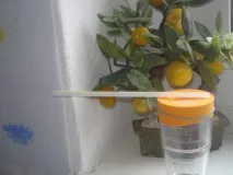 барометр