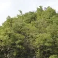 Райський куточок-озеро Іссик-куль іссик-куль