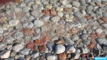 Райський куточок-озеро Іссик-куль куточок-озеро