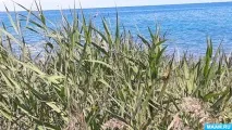Райський куточок-озеро Іссик-куль райський