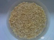 розсольник