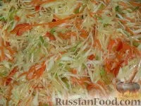 зиму