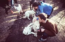 Щаслива історія про те, як вісім цуценят набули сім’ї щаслива