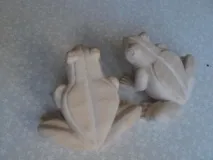 жаби