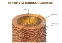 Секрети професійного догляду за волоссям влітку професійного