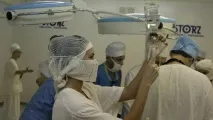 Сибірка в Україні чим вона небезпечна і кому загрожує кому