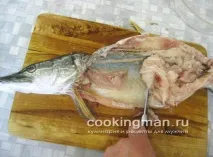 щука