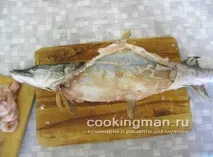 щука