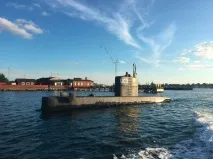Шведська журналістка зникла з підводного човна журналістка