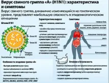 Симптоми свинячого грипу грипу
