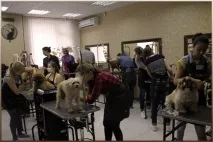 грумер