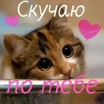 Сумую за коханою дівчиною - вірші, проза, смс вірші