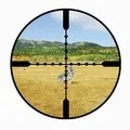 Снайпер - пошук слів за маскою та визначенням, відповіді на сканворди відповіді