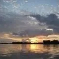 Снайпер - пошук слів за маскою та визначенням, відповіді на сканворди пошук