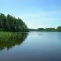 Снайпер - пошук слів за маскою та визначенням, відповіді на сканворди снайпер