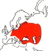 опис