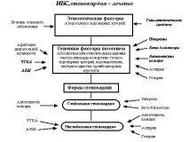 Стенокардія причини, симптоми, перша допомога, лікування та профілактика перша
