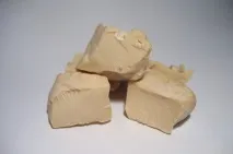 дріжджі