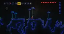 Terraria не запускається що робити запускається