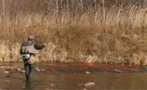 вудилище
