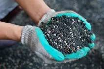 Добрива восени на дачі яке вносити, як удобрюють сад та город фосфорно-калійним, застосування вносити