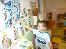 птахи