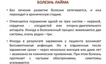 Вушний кліщ у людини симптоми та лікування кліщ