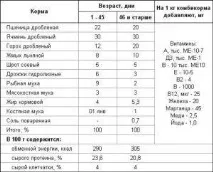 Качки в домашніх умовах, умови для розведення качок та догляду, утримання умови