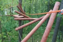 Мотузкові парки на деревах парку