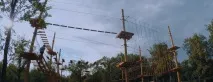 Мотузкові парки на деревах парку