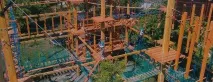 Мотузкові парки на деревах деревах