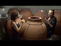 Смачно про смачний ізраїльський ананас - що за фрукт, ILand смачно