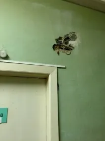 Враження іноземки іноземки