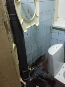Враження іноземки мене