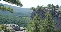 безкоштовне