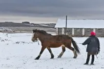 юриев-полски