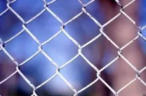 Паркан із рабиці гідності та недоліки сітки рабиця та технологія пристрою паркану з рабиці недоліки